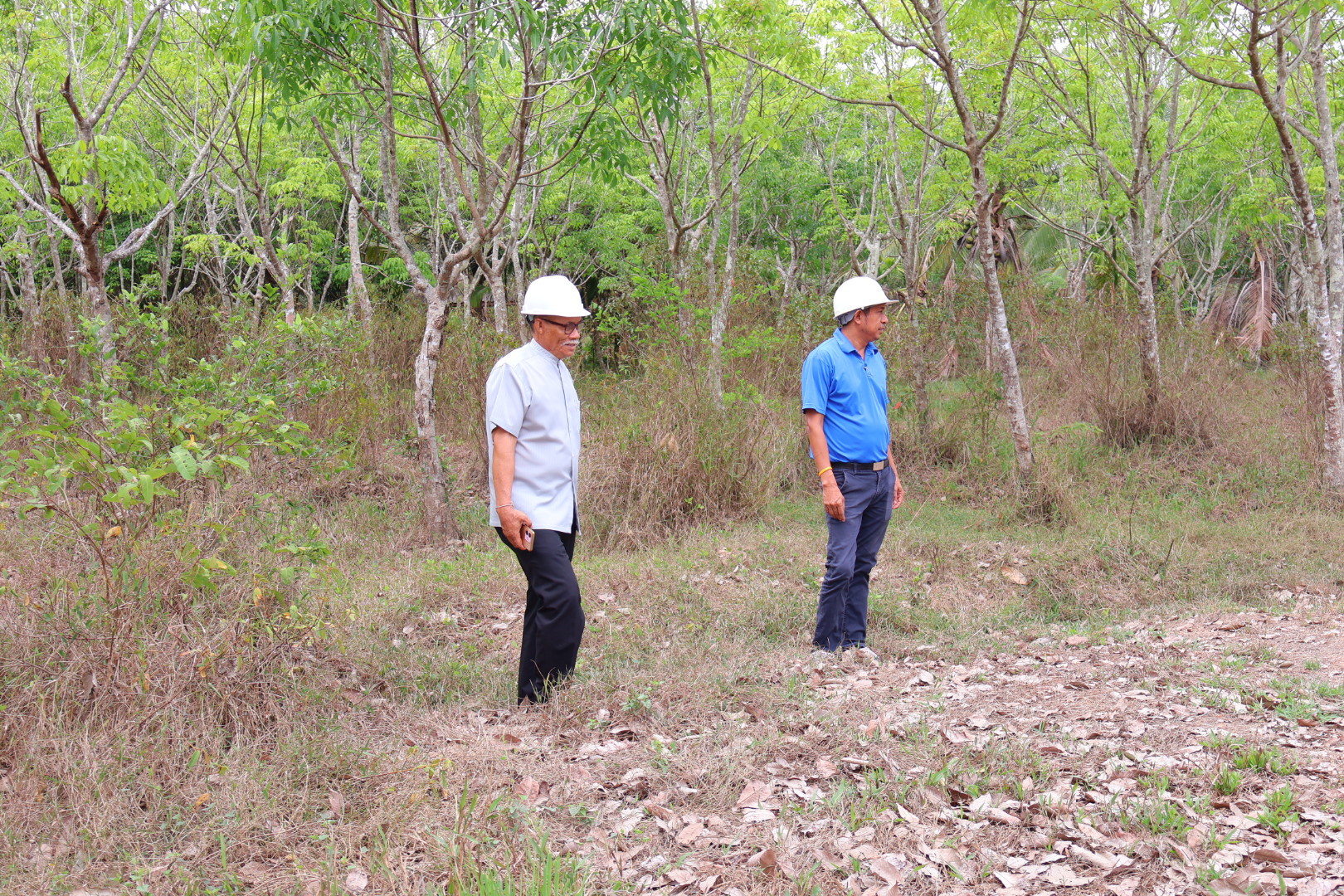 ลงพื้นที่สำรวจถนนสายวังแพเพื่อจัดทำโครงการขยายผิวจราจร เพื่อความสะดวกในการสัญจรของประชาชนในตำบลดอนทราย
ณ ถนนสายวังแพ ตำบลดอนทราย อำเภอปากพะยูน จังหวัดพัทลุง